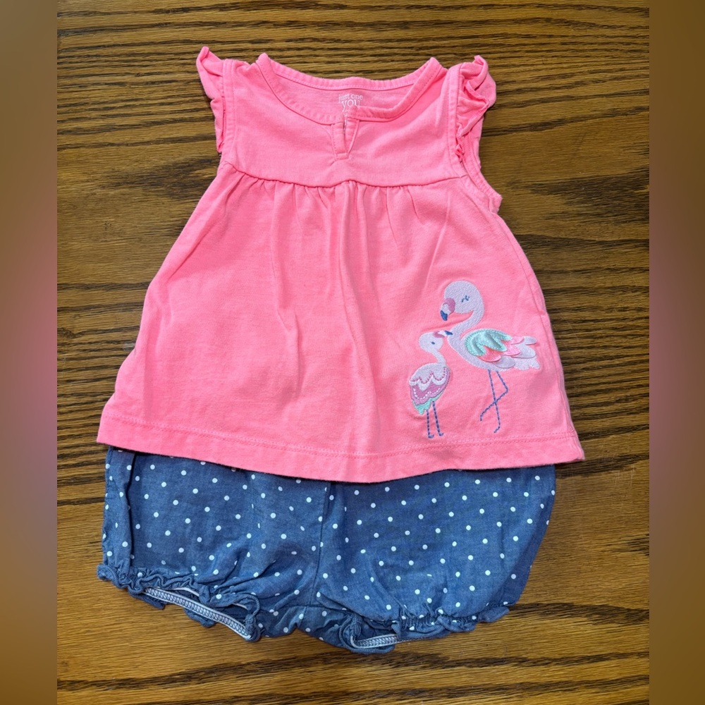 Carter’s Pink Flamingo Top and Blue Polka Dot Shorts Set
Size 18 months